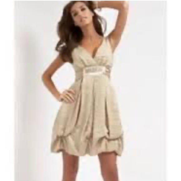 BCBGMaxAzria Dresses & Skirts - BCBGMaxAzria Dark Beige Beaded A-Line Cocktail Dress Size 2.